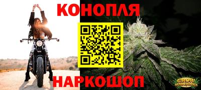 spice Кунгур