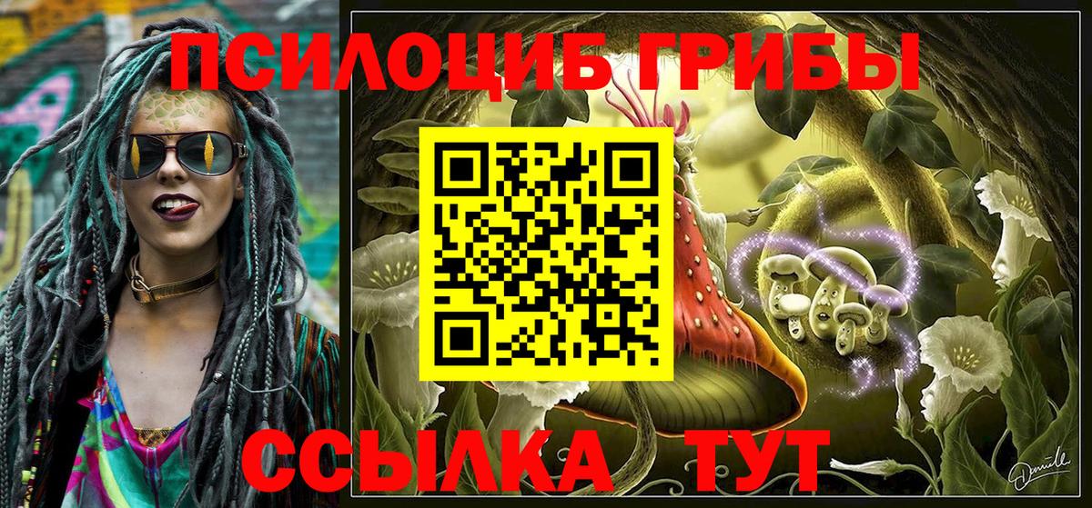 Галлюциногенные грибы Psilocybine cubensis Щёлково