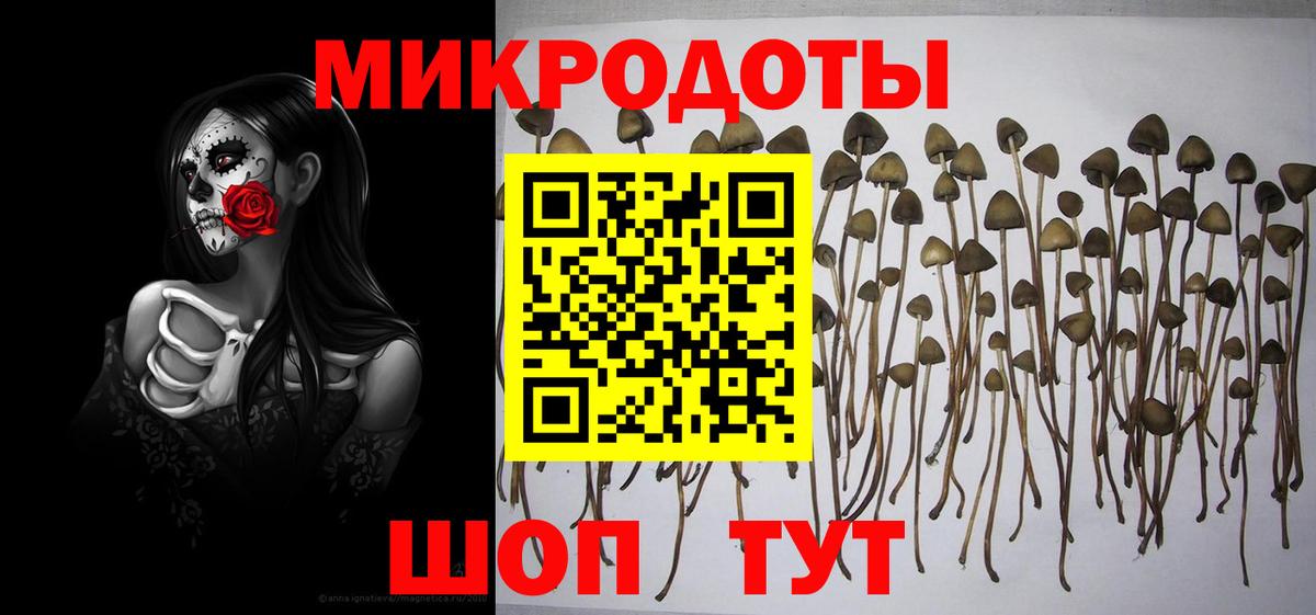 Галлюциногенные грибы Psilocybe  купить закладку  Щёлково  Вход с VPN 